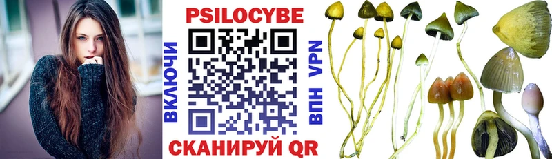 закладка Петушки Псилоцибиновые грибы Psilocybine cubensis